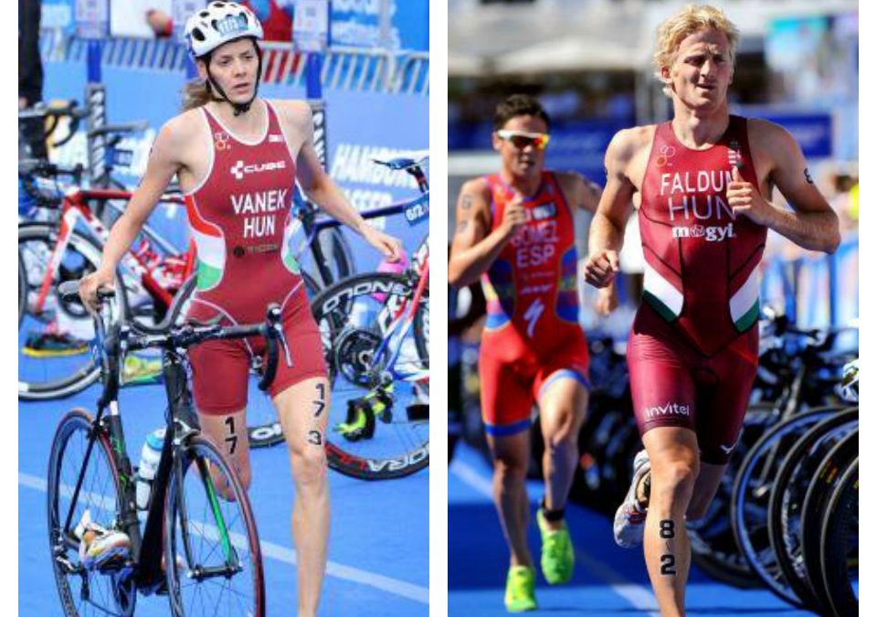 World Triathlon Series – Stockholm